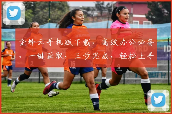企蜂云手机版下载，高效办公必备，一键获取，三步完成，轻松上手，助力职场精英