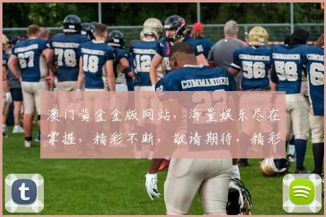 澳门黄金金版网站，海量娱乐尽在掌握，精彩不断，敬请期待，精彩游戏，惊喜不断