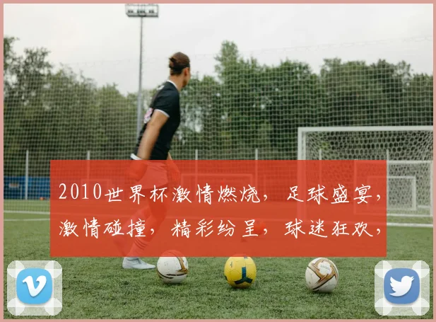 2010世界杯激情燃烧，足球盛宴，激情碰撞，精彩纷呈，球迷狂欢，共鉴辉煌。