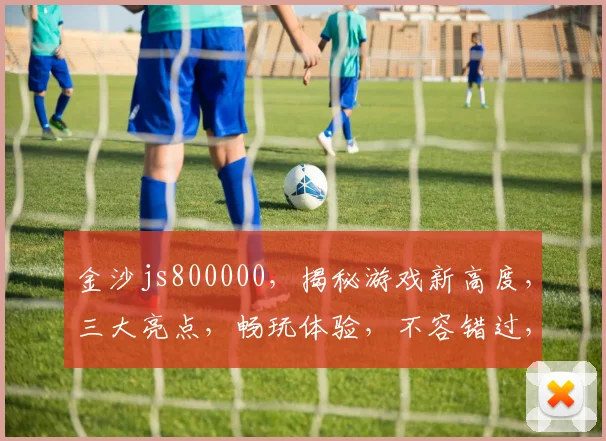 金沙js800000，揭秘游戏新高度，三大亮点，畅玩体验，不容错过，惊喜连连